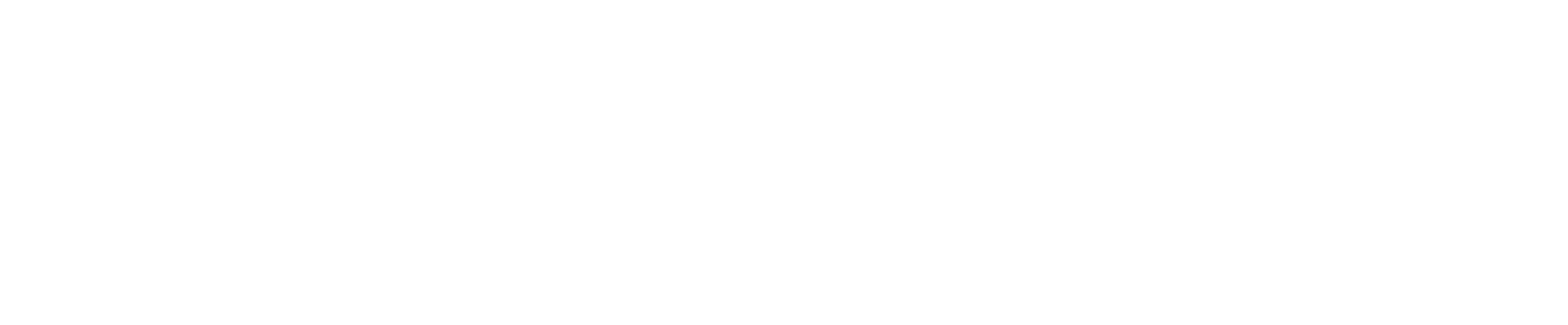 Studio Vertebra logo